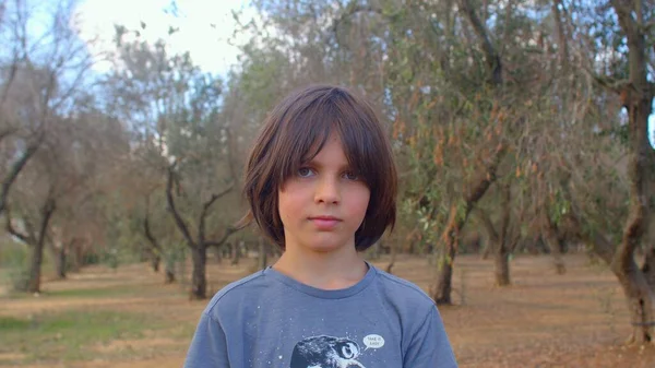 Retrato de un niño en olivar. La generación amante de la naturaleza cuida de los árboles. —  Fotos de Stock