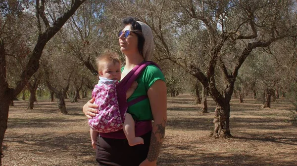 A woman is holding baby in carrier in olive grove. Walking in nature with child — Stock Photo, Image