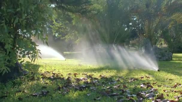 Operation automatic water supply system in garden Sunlight glare water — Stock videók