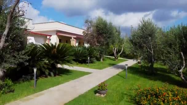 Apartments for rent with parking next to olive grove. Place for summer vacation — Video