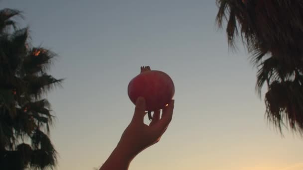 Ripe pomegranate in hand at sunset, silhouettes of palm trees. Exotic fruits. — Stockvideo