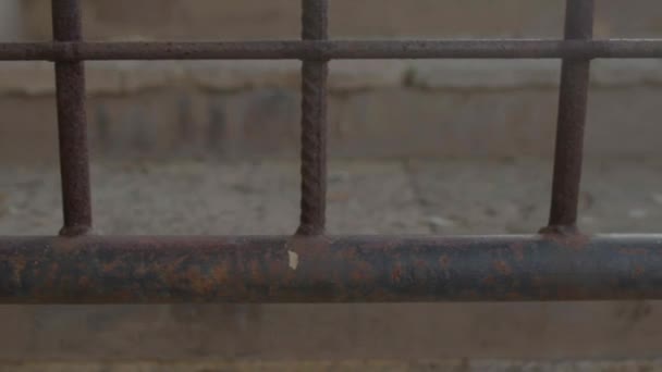 Kovové mříže před městskou budovou. Koncept depresivní nálady. — Stock video