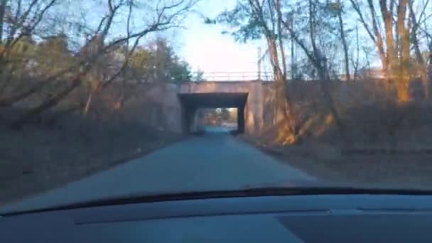 Verkehrskontrolle auf der Fahrspur. Sonnenlicht hinter den Bäumen. — Stockvideo