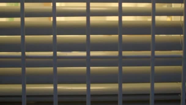 Grid on glass. Protection of property from attack. Light through the blinds. — Stock Video