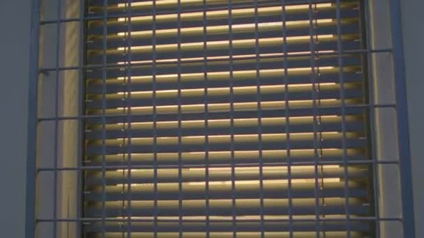 Window protection against intrusion. Metal rods form a lattice. Security guard — Stock Video