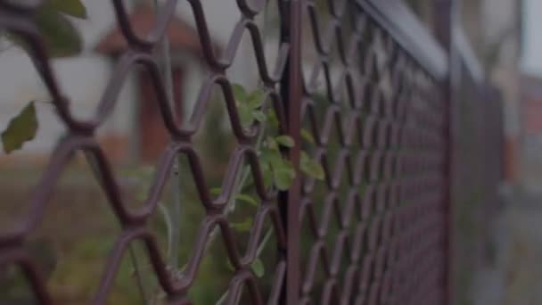 Closeup metalen bars omsluiten het gebied op het stadsgebouw. Lange vergrendelde saaie ruimte — Stockvideo