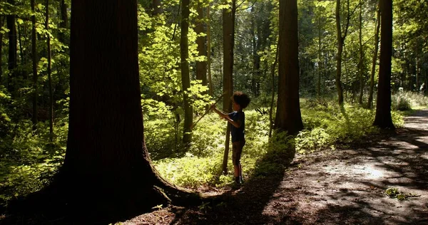 Child plays with stick in forest. Playing alone is independent play time for kid — Stock Photo, Image