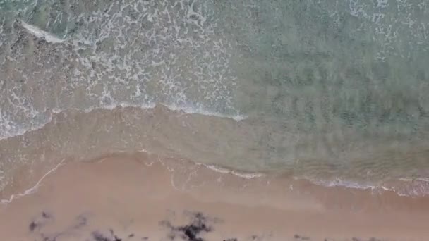 Het fijne zand van de kust wordt door de golven gewassen. Drone bovenaanzicht. — Stockvideo