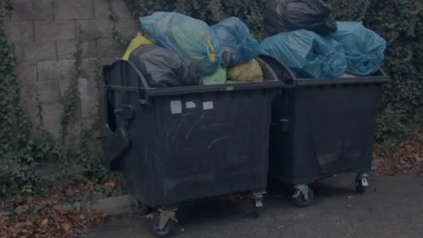 Место скопления бытовых отходов в городе. Синие пакеты. — стоковое видео