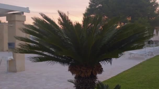 Kilátás a medencére. Pihenőhely. Kert trópusi fákkal — Stock videók