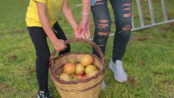 Het onderwijzen van kind start familiebedrijf tuinieren. Jongen helpt moeder — Stockvideo