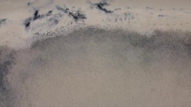 Denizde dalgaların hareketi. Boş kumsal. Üst görünüm.