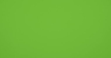 Yeşil, turuncu, kırmızı ve siyah çimenlerin pürüzsüz hareketi. 