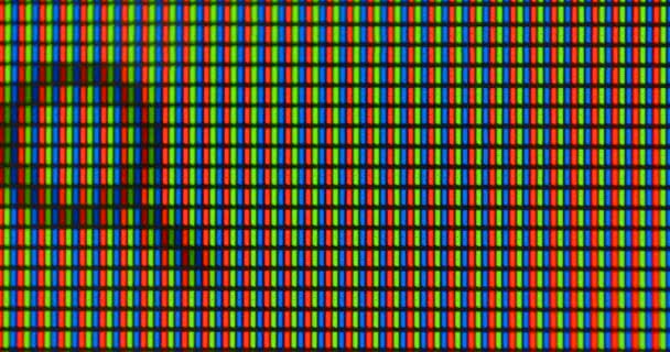 Monitor pixel cursor blinking. Waiting to print text. — Stock Video