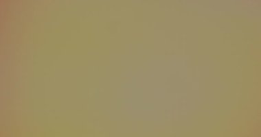 Mor ve kahverengi turuncudan değiştir. Dinamik renk değişimi bulanık kenarlıklar.