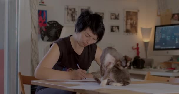 Sahibi, masadaki kağıtlı kedi hijyen prosedürleri uyguluyor, kendini yıkıyor.. — Stok video