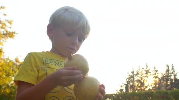 A blond boy holds a ripe pomegranate fruit in his hands at sunset. — Stock Video