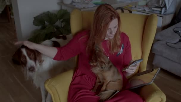 Mujer con perros descansando en casa. Razas de perros leales que se pegarán a tu lado. — Vídeos de Stock