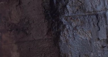 Yer altı katının bodrumunda rutubet var. Su beton bir duvarın yüzeyinden akar. Aşınma ve küf yeri, doğal olarak binanın yıkımı..