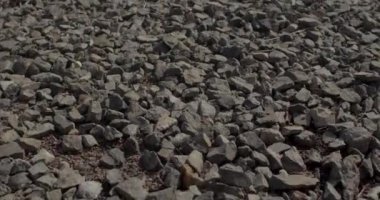 Kamera yerde bir sürü küçük moloz taşı hareket ediyor. Yol inşaatı için inşaat malzemesi hazırlığı. Beton için taş katmanı.