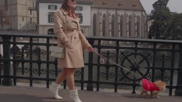 Ritratto Donna Con Cane Passeggia Nella Città Europea Cani Compagnia — Video Stock