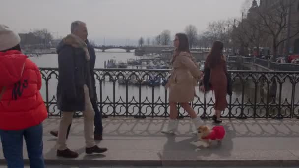 Porträtt Kvinna Med Hund Promenader Europeisk Stad Kläder För Tamhundar — Stockvideo