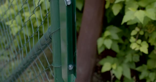 绿色栅栏门的机械运动 它被锁住了 堵塞了栅栏中的通道 堵塞了通道 — 图库视频影像