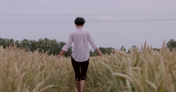 Bewegung Einer Rückenfrau Einem Weizenfeld Sie Macht Schritte Und Berührt — Stockvideo