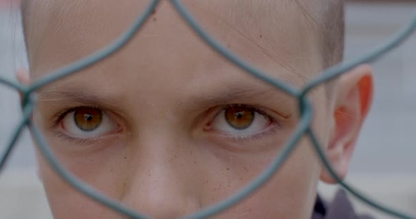 Die Augen Eines Teenagers Den Maschen Des Zauns Bokeh Sieht — Stockvideo
