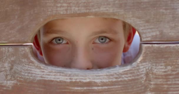 Olhos Interessados Buraco Uma Cerca Madeira Ele Olha Atentamente Foco — Vídeo de Stock