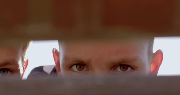 Die Augen Der Jungen Brüder Teenager Der Lücke Des Zauns — Stockvideo