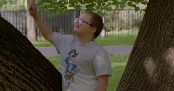 Vorpubertierendes Kind Rezitiert Gedichte Und Singt Beim Spazierengehen Park Tägliche — Stockvideo