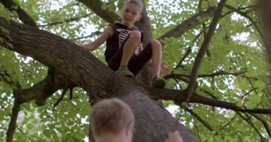 Şehir parkında çocuklar ağaca tırmanır. Down sendromlu bir kardeşle çocuk iletişimi kurmak, arkadaş edinmek ve hayatın tadını çıkarmak..