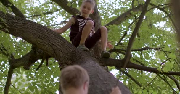 Crianças Escalam Árvore Parque Cidade Comunicação Uma Criança Com Irmão — Vídeo de Stock