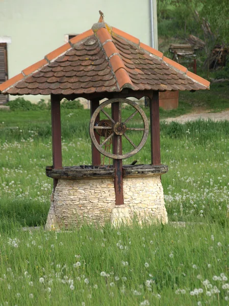 Schöner Brunnen auf dem Rasen — Stockfoto