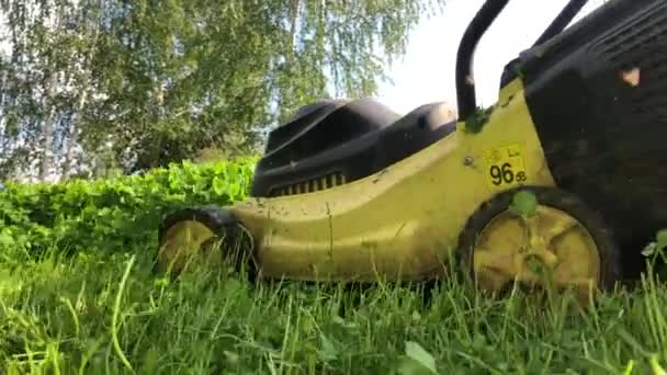 Mowing green clover lawns with an electric lawn mower. — Stockvideo