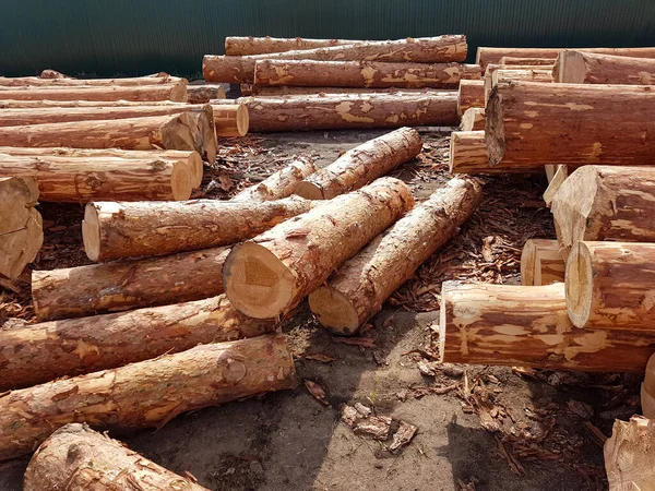 Stämme von Nadelbäumen. Holzindustrie. Vorbereitung von Baumstämmen für den Hausbau. — Stockfoto