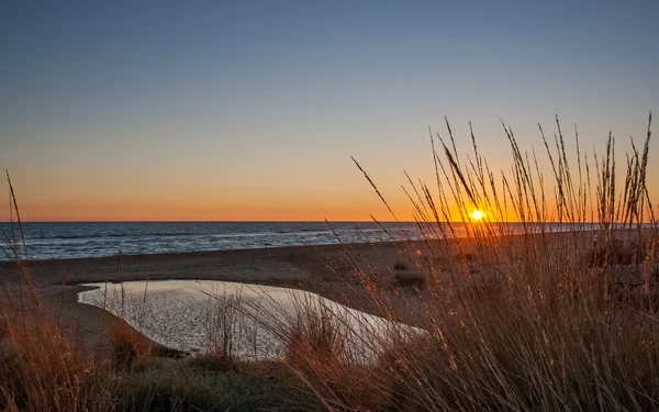 Sunset on the beach — Stock Photo, Image