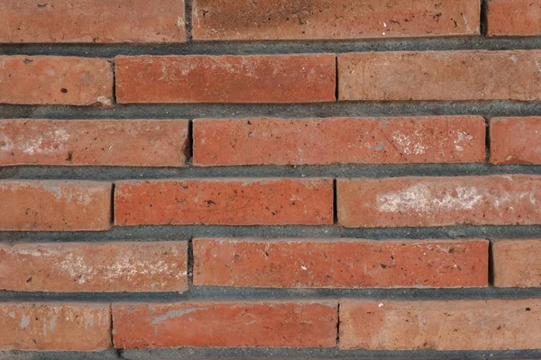 Brick Wall — Stock Photo, Image