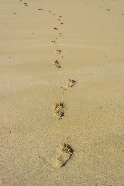 Voetafdrukken op het strand — Stockfoto