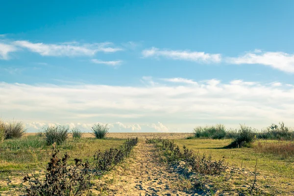 Path to the beach — Stock Photo, Image