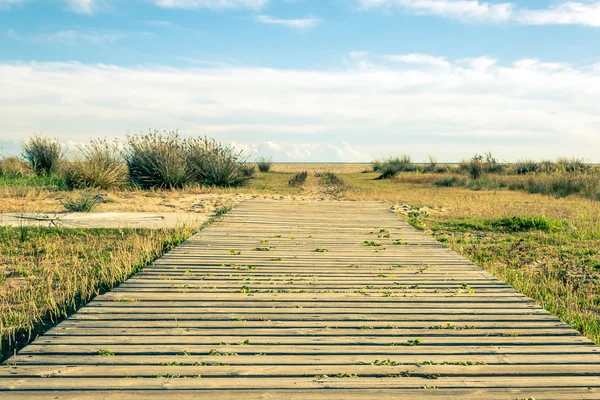 Path to the beach — Stock Photo, Image