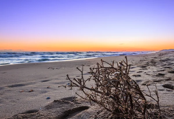 Pôr do sol na praia — Fotografia de Stock