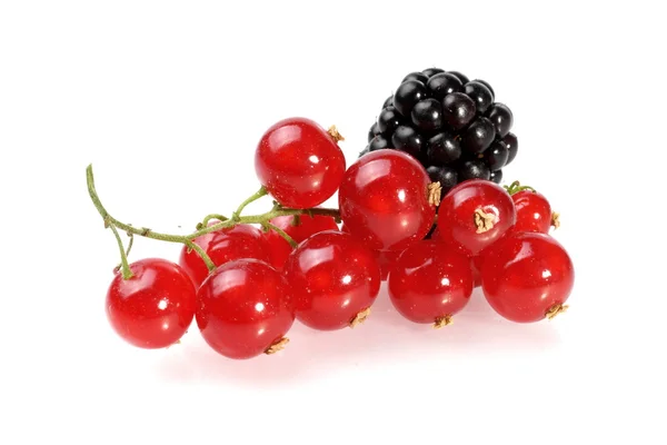 Beeren — Stockfoto