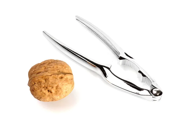 Walnut — Stock Photo, Image