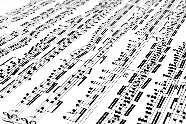 Music score — стоковое фото