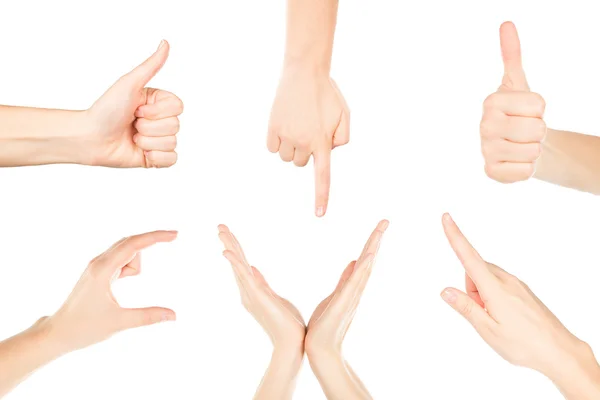 Collage of woman hands on white backgrounds — Stock Photo, Image