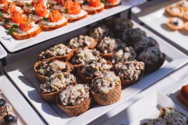 Yemek masası, çeşitli yiyeceklerle süslenmiş güzel bir ziyafet. Kurumsal doğum günü partisi etkinliği ya da düğün kutlaması için aperatifler. Deniz ürünleri, kanepe, şarküteri.