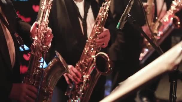 Koncertní Pohled Saxofonisty Saxofonistu Vokalistou Muzikálem Během Jazzového Orchestru Pódiu — Stock video