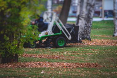 Parktaki düşen sonbahar yapraklarının toplanması, sarı yaprakların toplanması ve temizlenmesi, traktör, bahçe aletleri ve modern ekipmanlarla düzenli mevsimsel çalışmalar